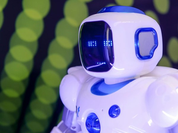 Comment un jeu de simulation de gestion de la biodiversité peut-il sensibiliser à l'importance des écosystèmes?