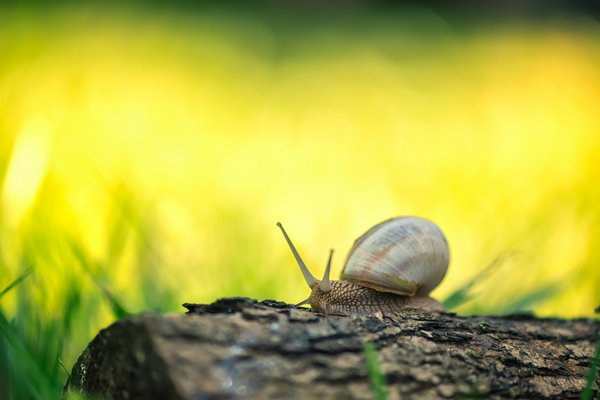 Quelles sont les meilleures pratiques pour la gestion des logs dans un environnement cloud?